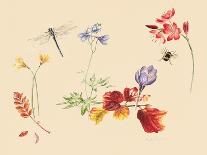 Autumn Flowers and insects-Alison Cooper-Giclee Print