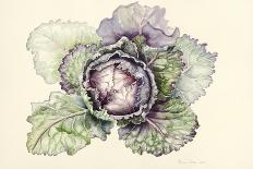 Cabbage from the Market-Alison Cooper-Giclee Print