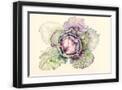 Black Frame