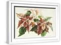 White Frame