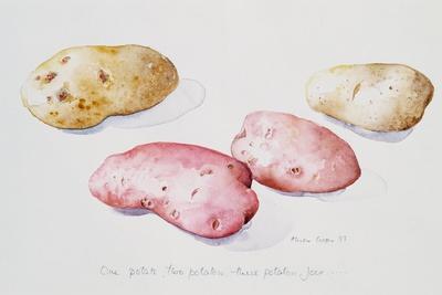 Potato Study, 1993