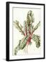Chelsea Black