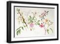 Black Frame