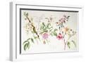 White Frame