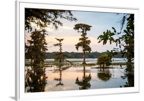 Framed Photographic Print, , large