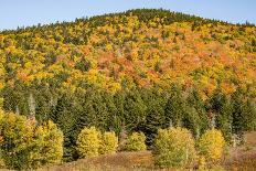 USA, New Hampshire, fall foliage Bretton Woods at base of Mount Washington-Alison Jones-Photographic Print
