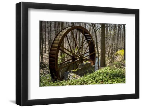 Premium Photographic Print, , large