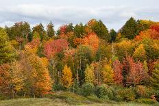 USA, Vermont, Morrisville, Stagecoach Road, fall foliage-Alison Jones-Photographic Print