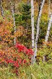 USA, Vermont, New England, Stowe Mt. Mansfield parking lot view with fog on mountains-Alison Jones-Photographic Print