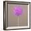 Alium-Lincoln Seligman-Framed Giclee Print