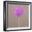 Alium-Lincoln Seligman-Framed Giclee Print