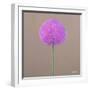 Alium-Lincoln Seligman-Framed Giclee Print