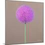 Alium-Lincoln Seligman-Mounted Giclee Print