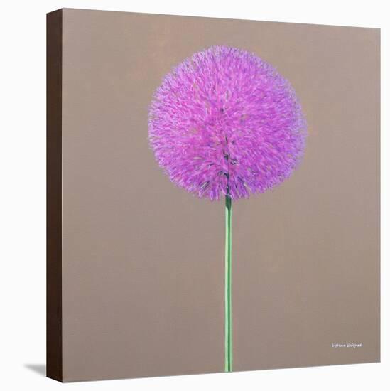 Alium-Lincoln Seligman-Stretched Canvas