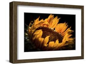 alive and Living-Philippe Sainte-Laudy-Framed Photographic Print