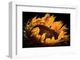 alive and Living-Philippe Sainte-Laudy-Framed Photographic Print