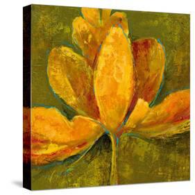 Alive In Nature III-Georgie-Stretched Canvas