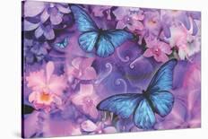 Violet Orchid Morpheus-Alixandra Mullins-Stretched Canvas