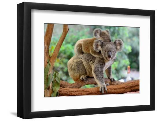Premium Photographic Print, , large