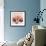 Alizarin Marble Splendor 2-Albert Koetsier-Framed Photo displayed on a wall