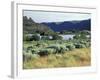 Alkali Lake in the Lower Grand Coulee, Coulee City, Washington, USA-Jamie & Judy Wild-Framed Photographic Print