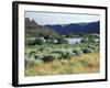 Alkali Lake in the Lower Grand Coulee, Coulee City, Washington, USA-Jamie & Judy Wild-Framed Photographic Print