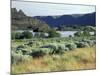 Alkali Lake in the Lower Grand Coulee, Coulee City, Washington, USA-Jamie & Judy Wild-Mounted Photographic Print