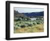 Alkali Lake in the Lower Grand Coulee, Coulee City, Washington, USA-Jamie & Judy Wild-Framed Photographic Print