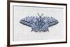 All a Flutter-Jennifer Brice-Framed Giclee Print