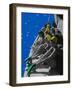 All aboard-Anne Storno-Framed Giclee Print