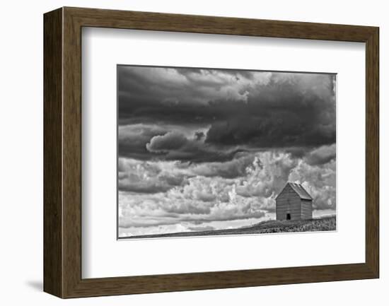 All Alone-Trent Foltz-Framed Art Print