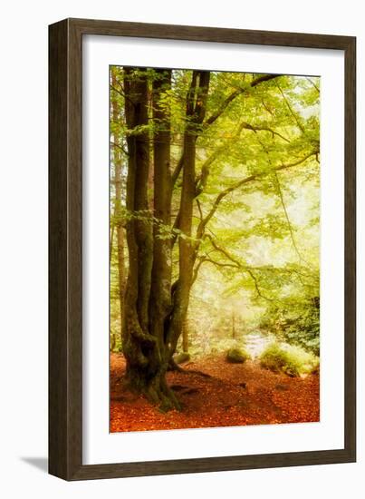 All Alone-Philippe Sainte-Laudy-Framed Photographic Print