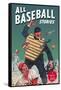 All Baseball Stories: Seven Big Diamond Thrillers-null-Framed Stretched Canvas