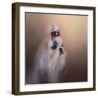 All Dolled Up Shih Tzu-Jai Johnson-Framed Giclee Print