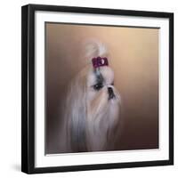 All Dolled Up Shih Tzu-Jai Johnson-Framed Giclee Print