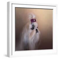 All Dolled Up Shih Tzu-Jai Johnson-Framed Giclee Print