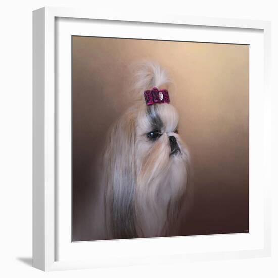 All Dolled Up Shih Tzu-Jai Johnson-Framed Giclee Print