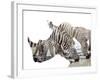 All Down at the Watering Hole-James Hager-Framed Photographic Print