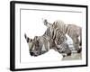 All Down at the Watering Hole-James Hager-Framed Photographic Print