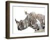 All Down at the Watering Hole-James Hager-Framed Photographic Print