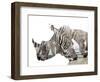 All Down at the Watering Hole-James Hager-Framed Photographic Print