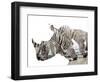 All Down at the Watering Hole-James Hager-Framed Photographic Print