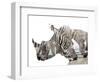 All Down at the Watering Hole-James Hager-Framed Photographic Print