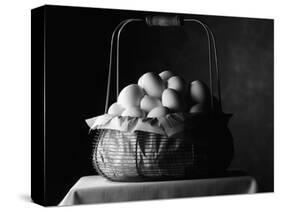 All Eggs in One Basket-Jim Craigmyle-Stretched Canvas