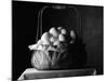 All Eggs in One Basket-Jim Craigmyle-Mounted Photographic Print