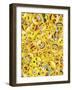 All Emoji Layers-Ali Lynne-Framed Giclee Print