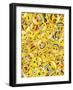 All Emoji Layers-Ali Lynne-Framed Giclee Print