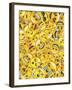 All Emoji Layers-Ali Lynne-Framed Giclee Print