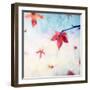 All Fall Down-Dawn D^ Hanna-Framed Photographic Print