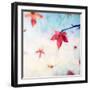 All Fall Down-Dawn D^ Hanna-Framed Photographic Print